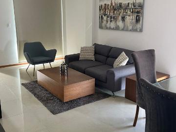 DEPARTAMENTO AMUEBLADO EN LOMAS EN SAN LUIS POTOSI