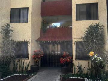 Departamento Amueblado en Planta Baja con 2 Rec?maras en Torre del Lago