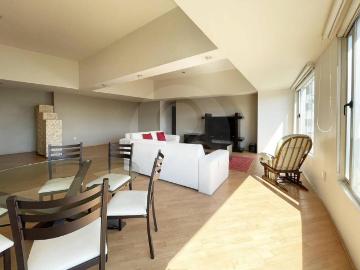 Departamento AMUEBLADO en renta Residencial Terr?, Santa Fe MR