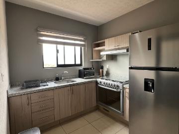 Departamento Amueblado en Renta