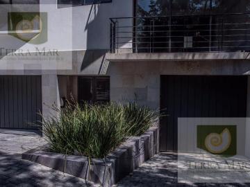 Departamento Alvaro Obreg?n