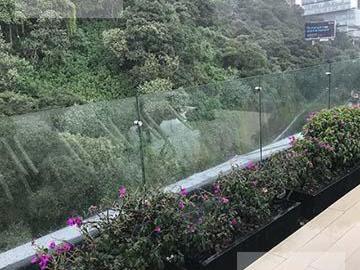 Departamento Bosques de las Lomas