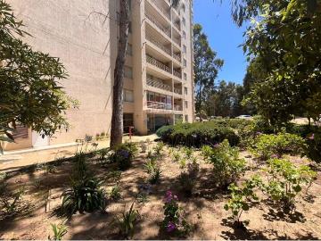 Departamento en Algarrobo
