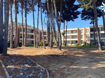 Departamento en Algarrobo
