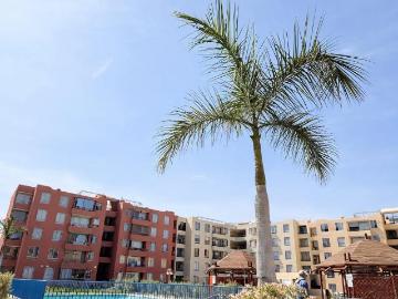 Departamento en Arica