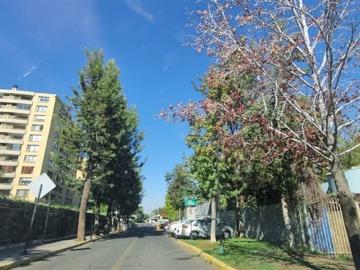 Departamento en Arriendo en Grecia con juan moya morales