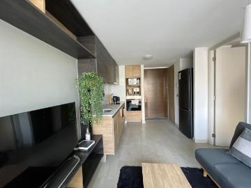 Departamento en Arriendo en Santiago 1 dormitorio 1 baño