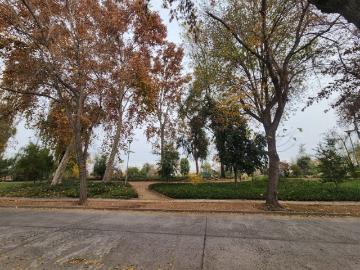 Departamento en Arriendo en Pepe Vila / Tobalaba