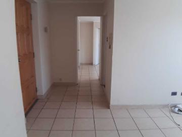 Departamento en Arriendo en Viña del Mar 1 dormitorio 1 baño