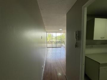 Departamento en DARDIGNAC CON PURISIMA