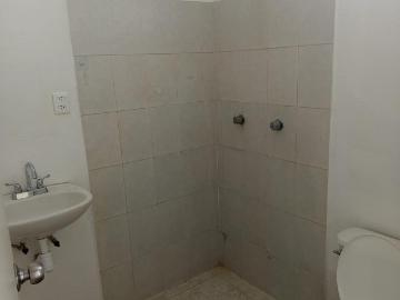 Departamento en Fraccionamiento Palma Real