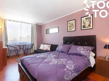 Departamento en Santiago