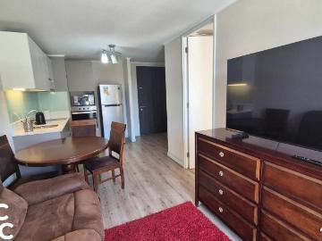 Departamento en Santiago
