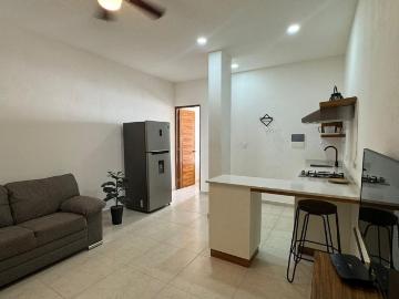 Departamento en Supermanzana 313