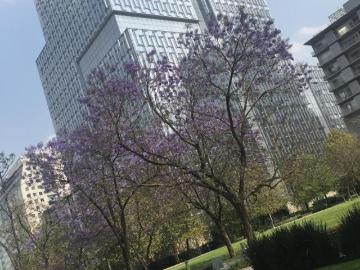 DEPARTAMENTO EN PARQUES POLANCO