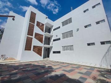 DEPARTAMENTO EN PLANTA BAJA EN ZONA PONIENTE CERCA DE Walmart Campestre