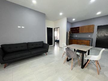 DEPARTAMENTO EN RENTA, 2 RECAMARAS. COCHERA. CARMEN, CAMPECHE
