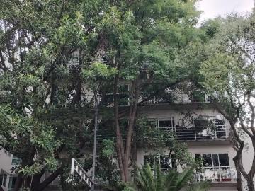 ¡departamento en renta – colonia del narvarte poniente! ✨