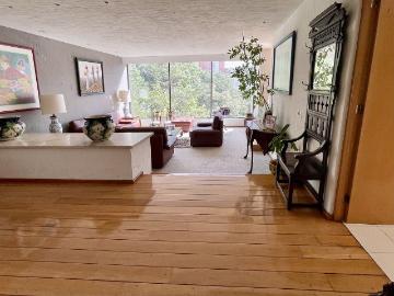 Departamento en renta con vista arbolada 360 m