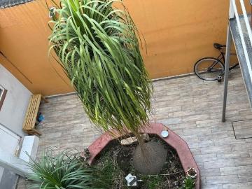 Departamento en renta Calle Alfajayucan 80, San Andrés Tetepilco, Iztapalapa, Ciudad De México, 09440, Mex