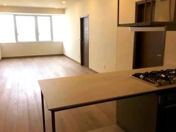 Departamento en renta Calle Lago Zurich, Granada, Miguel Hidalgo, Ciudad De México, 11529, Mex