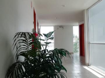 Departamento en renta Camino Real A Cholula, Puebla De Zaragoza, Puebla, México