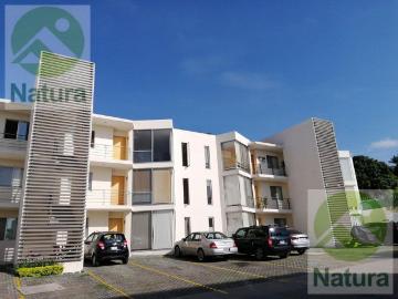 Departamento en renta Chapultepec, Cuernavaca, Cuernavaca, Morelos
