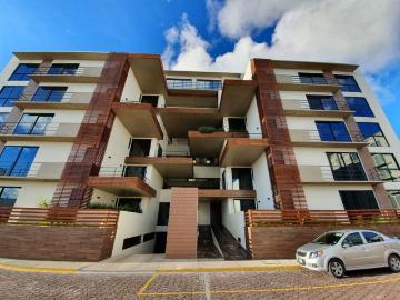 Departamento en renta Cholula Puebla, Barrio Real, 72814 San Andrés Cholula, Puebla, México