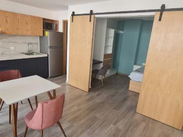 DEPARTAMENTO EN RENTA, AMUEBLADO, LOFT, SUITE. CARMEN, CAMPECHE