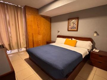 Departamento en renta Avenida Venustiano Carranza 730, De Tequisquiapan, San Luis Potosí, México
