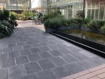 Departamento en renta Boulevard Manuel Ávila Camacho, Periodista, Miguel Hidalgo, Ciudad De México, 11619, Mex