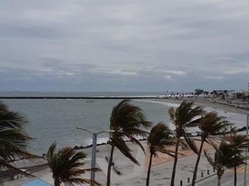 Departamento en renta Boulevard Manuel Ávila Camacho, Ricardo Flores Magón, Veracruz, México