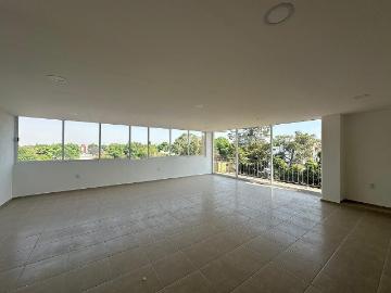 DEPARTAMENTO EN RENTA DEL CARMEN COYOACAN
