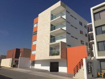 Departamento en renta Del Parque, San Luis Potosí, San Luis Potosí