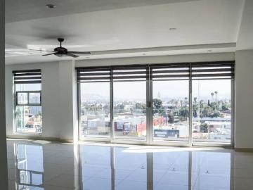 Departamento en renta Dra Aurora Covarrubias Medicina Interna Y Cirugía Felina, Avenida De Las Palmas, La Palmas, Tijuana, Baja California, 22106, Mex
