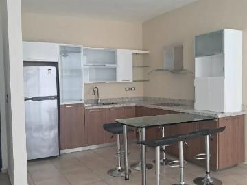 Departamento en Renta en Colinas del Valle