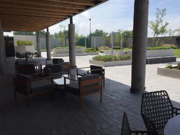 Departamento en Renta en Celaya, Zona Campestre, con Amenidades de Lujo