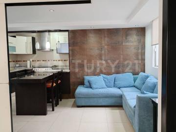 Departamento en Renta en Anáhuac I Secc Miguel Hidalgo, Ciudad De México