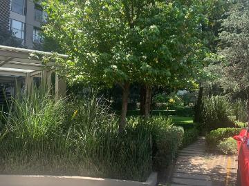 Departamento en Renta en Be Grand Lomas 135 m2