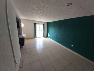 Departamento en Renta en Fracc. Marina Diamante Acapulco de Juárez