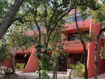 Departamento en renta en Kiino Cozumel, zona hotelera norte, con muebles