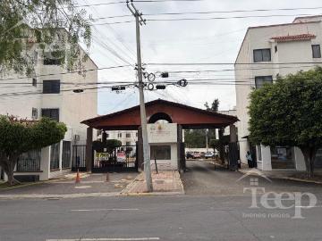 Departamento en Renta en Jardines de Jerez
