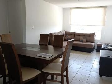 Departamento en renta en San José de Chiapa, San José Chiapa, Puebla