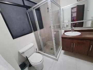 Departamento en renta en Polanco I Sección, Miguel Hidalgo, Ciudad de México