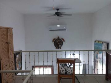 Departamento en Renta en Todos Santos