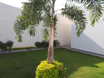 Departamento en renta en Torreon Jardin, Torreón, Coahuila de Zaragoza