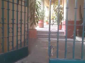 Departamento en Renta en Xalapa Enríquez Centro Úrsulo Gálvan