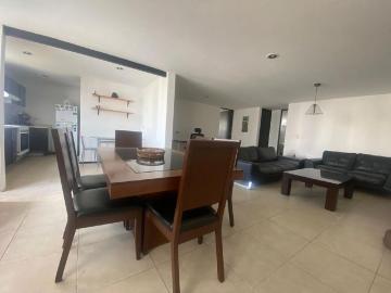 Departamento en renta Il Albore Residencial, Avenida Casiopea, Geovillas Santa Clara, San Bernardino Tlaxcalancingo, Puebla, México