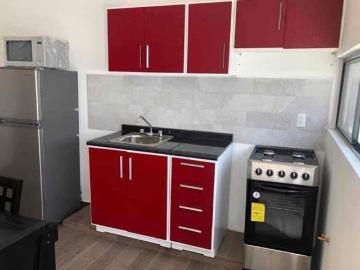 Departamento en renta Jocoyota, Cruces, Pozos, San Luis Potosí, México