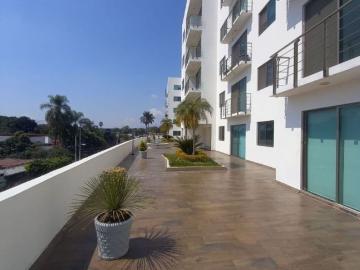 Departamento en renta Jacarandas, Cuernavaca, Morelos